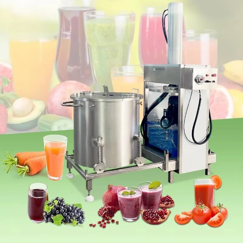 Automatic Fruit Cider Pure Juicer Commercial Hydraulic Grape Juice Wine Cold Press Machine for Juice