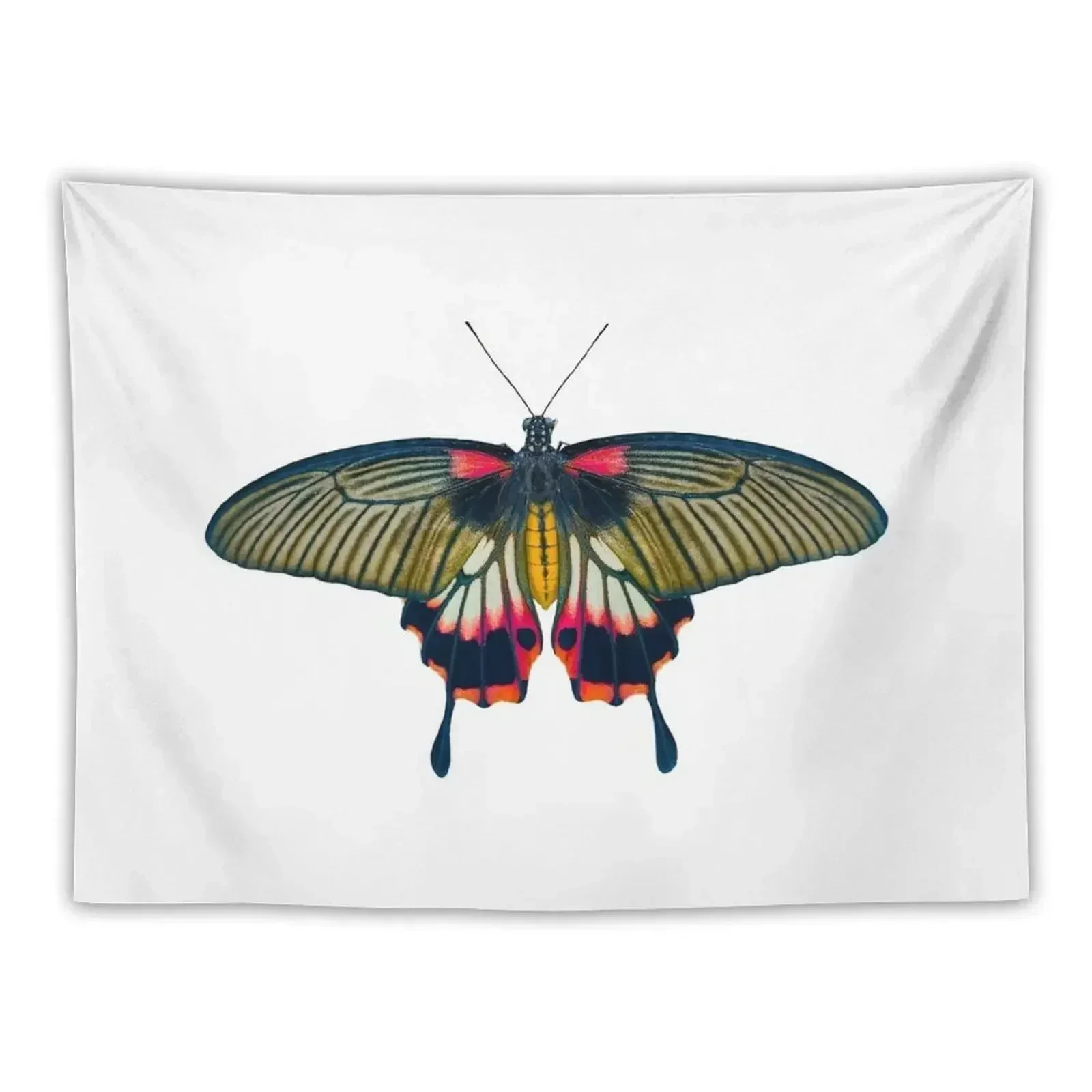 

Butterfly Tapestry Decorative Paintings Things To The Room Home Supplies Tapestry