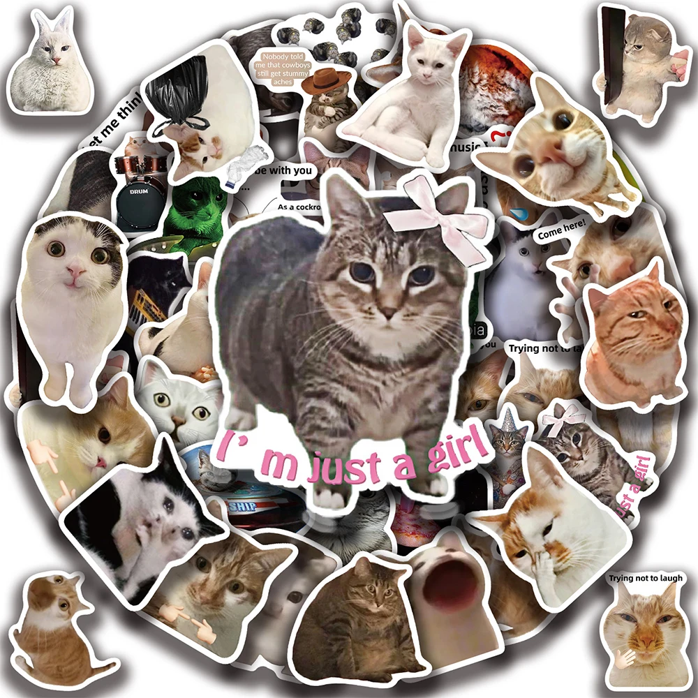 10/30/50pcs Cartoon Funny Meme Cat Stickers Cute Animals Decals DIY Water Bottle Helmet Phone Bike Graffiti Sticker Decoration