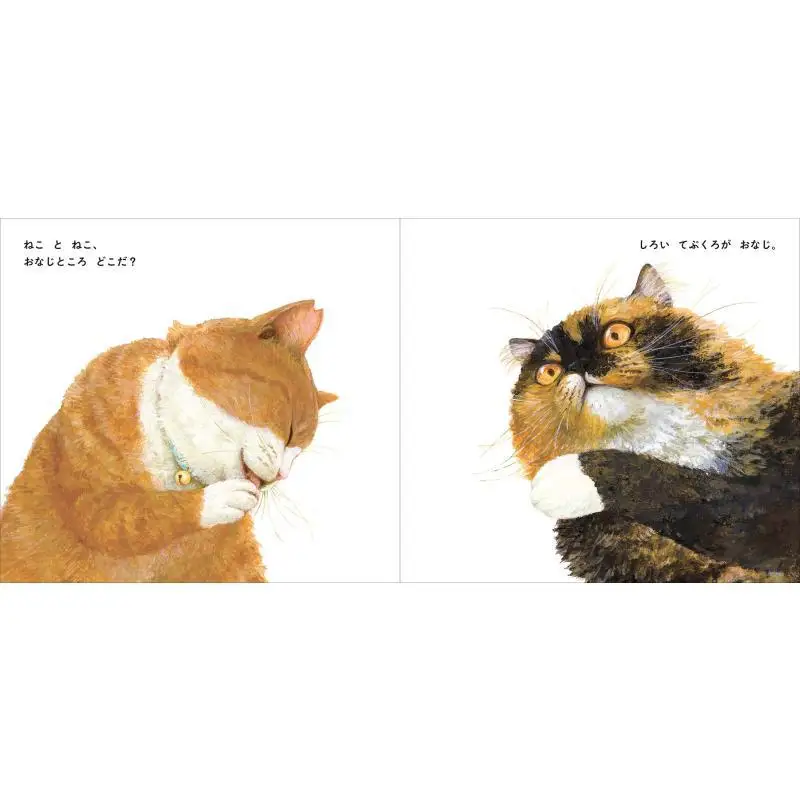 القط والقطة ناوكو ماتشيدا كوغوما ضريح 9784772102445 كتاب #4