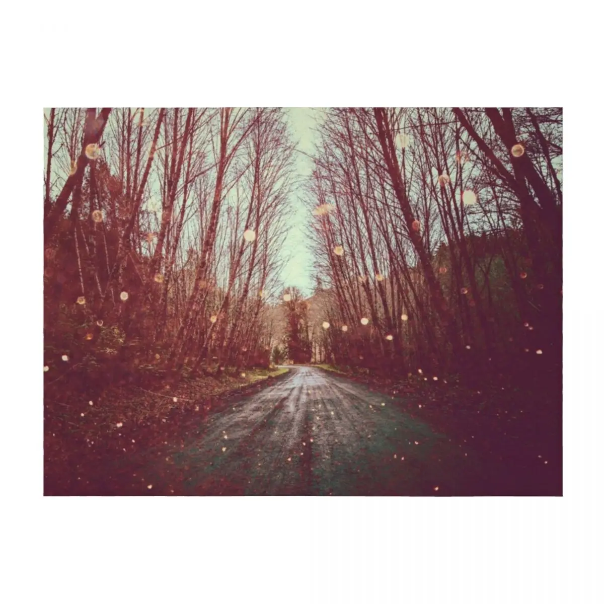 

Forest Trees Nature Path - винтажное волшебное одеяло для прогулок, кровать, модные пляжные одеяла для волос