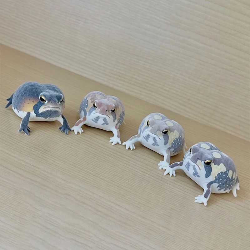 Round Rain Frog American Frog Palm Amphibian Figures Ikimon Capsule Toys Kawaii Nature Techni Color Flocky Tsuchimamireno Gifts