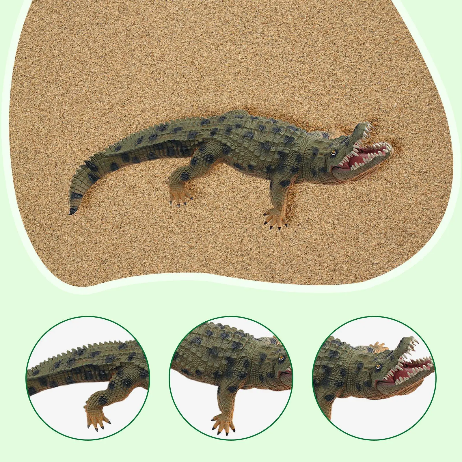 Koleksi Patung Buaya Simulasi 12.8 "untuk Hadiah Anak Laki-laki Perempuan untuk Anak-anak Mainan Figur Buaya Dekoratif Alat Peraga Pendidikan