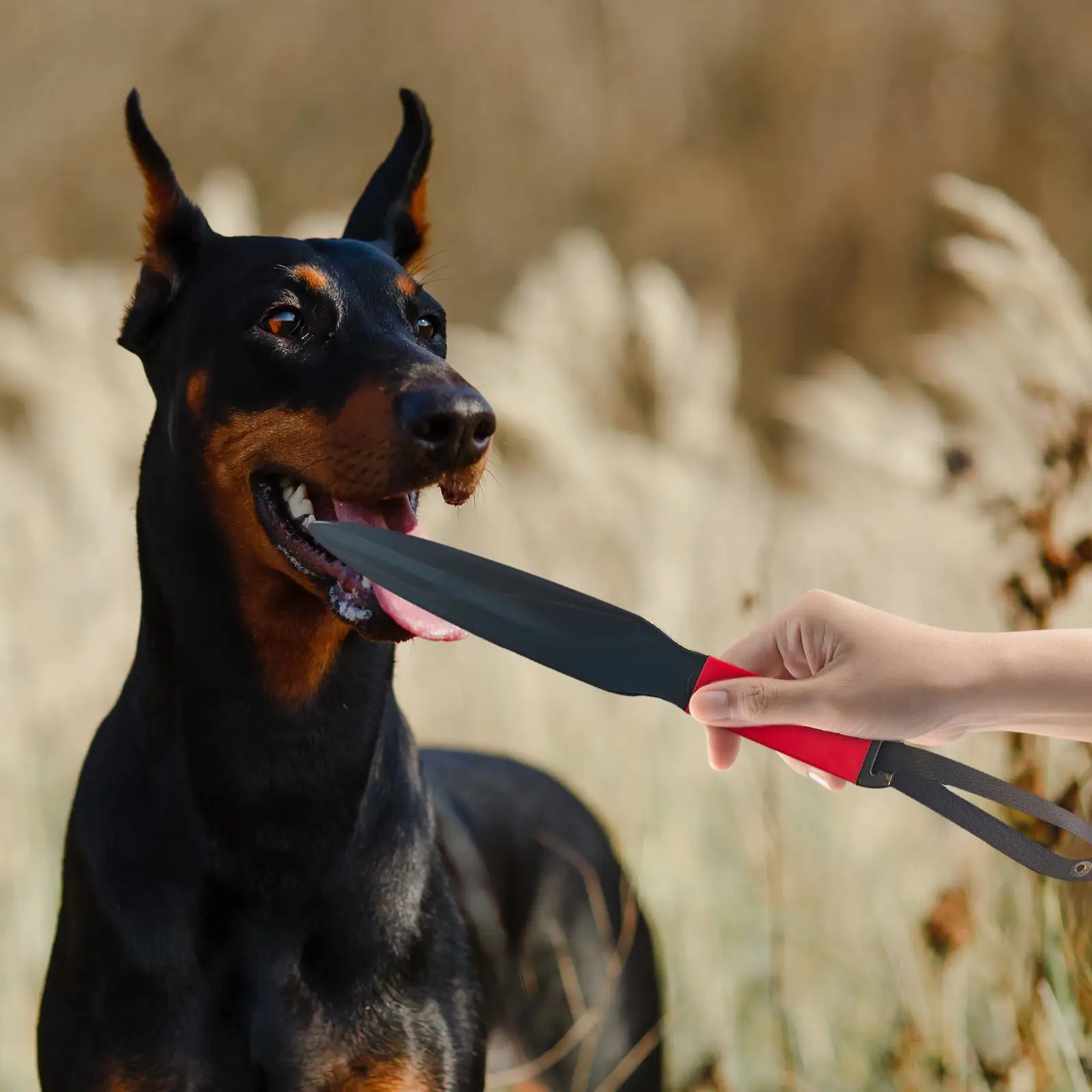 Dog Break Stick Nylon Chewing Toy for Strong Dogs Training Pet Supplies