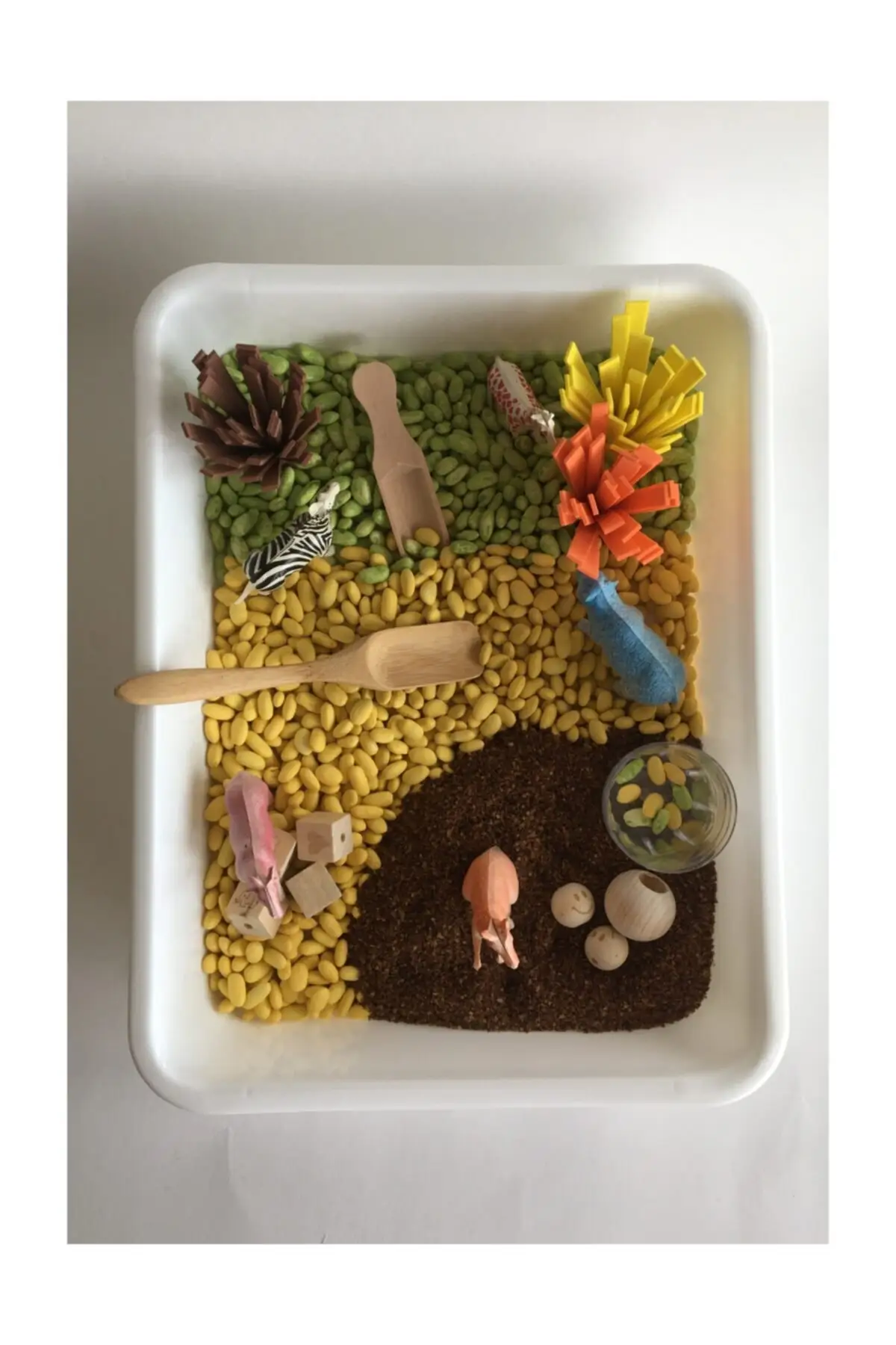 Set Game Sensorik Bertema Safari-Mainan Montessori