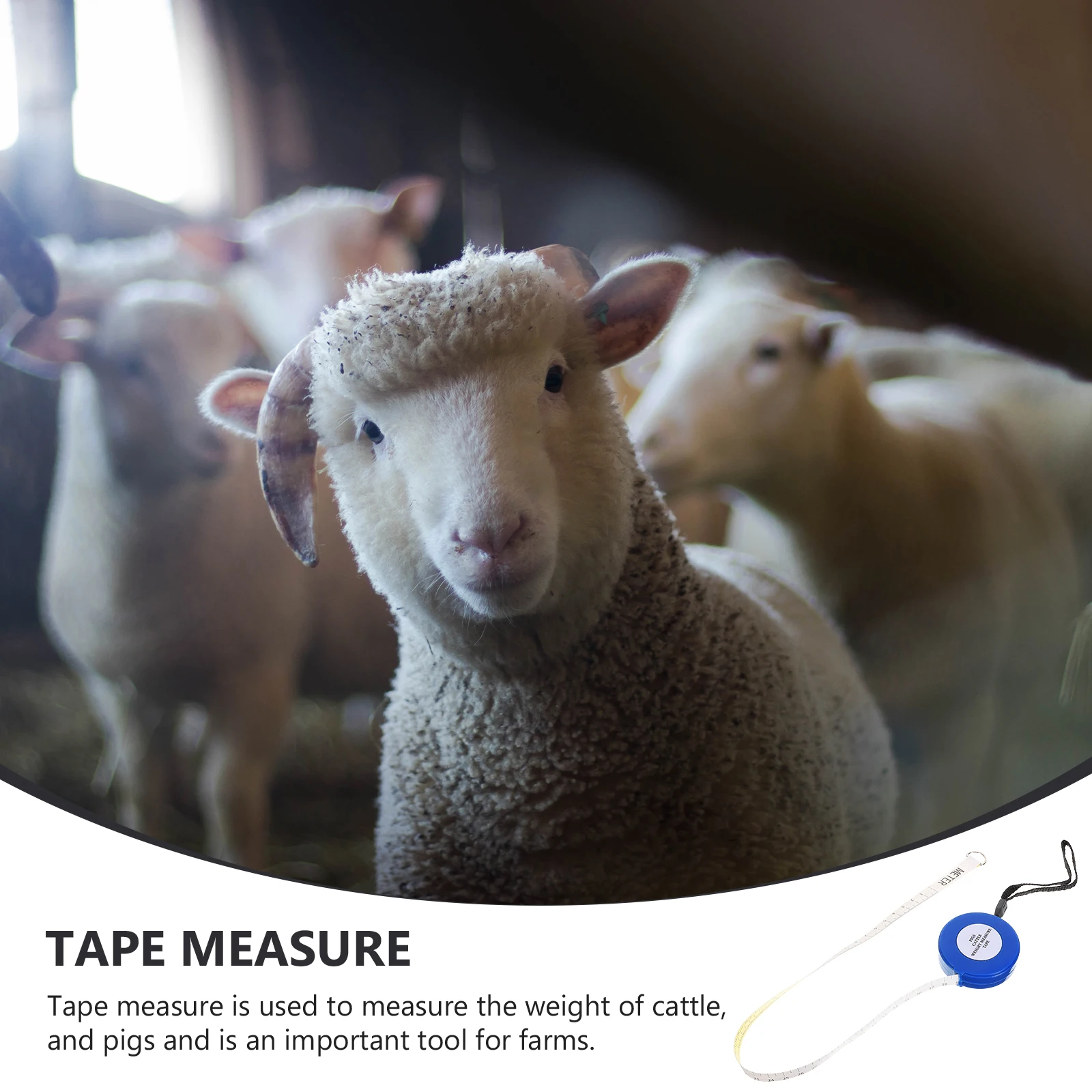 

2.5 Meter Animal Body Measuring For Cattle Pig Horse Goat Farm Use Precision Portable Small Size Lightweight Tool Cattle Weight