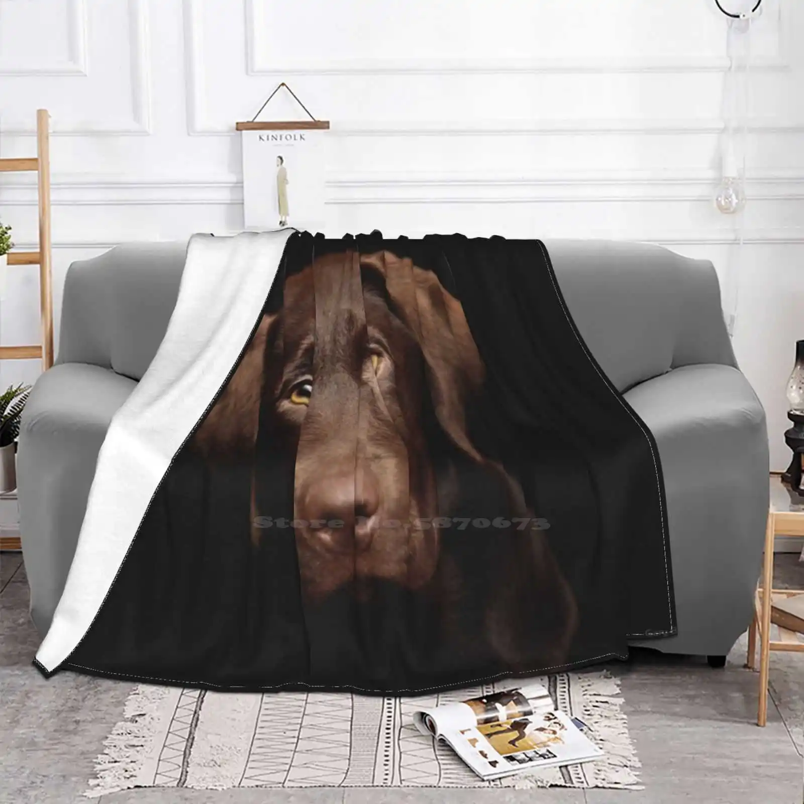 Frank Low Price New Print Novelty Fashion Soft Warm Blanket Animals Dogs Pets Chocolate Labrador Cute Puppy