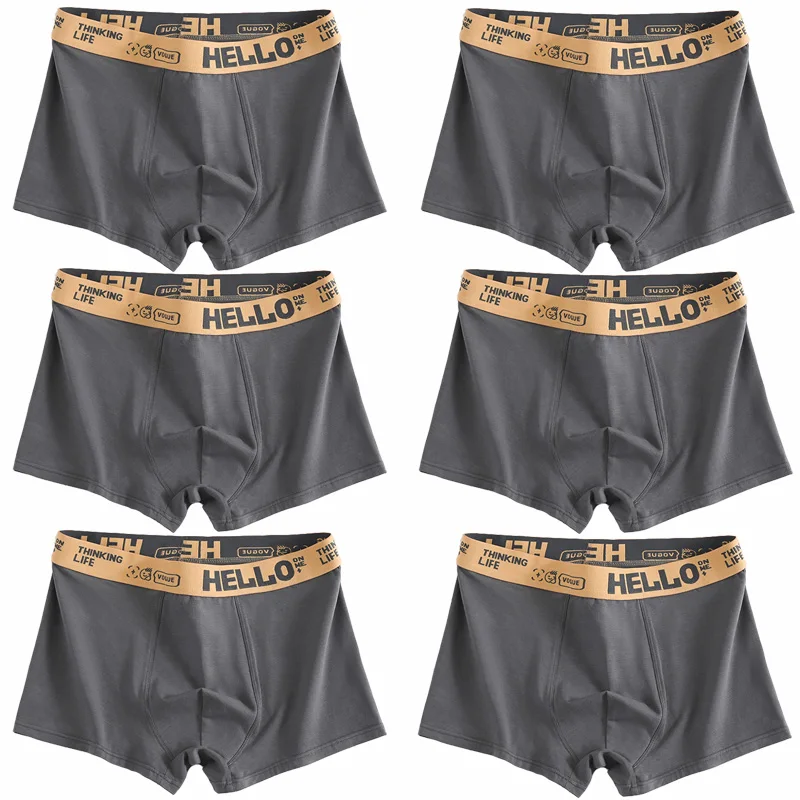 6-teiliges Set Herren-Unterwäsche Baumwoll-Unterhosen Reine Baumwolle Männer-Slips Atmungsaktive Boxershorts Komfortabel Weich Übergröße
