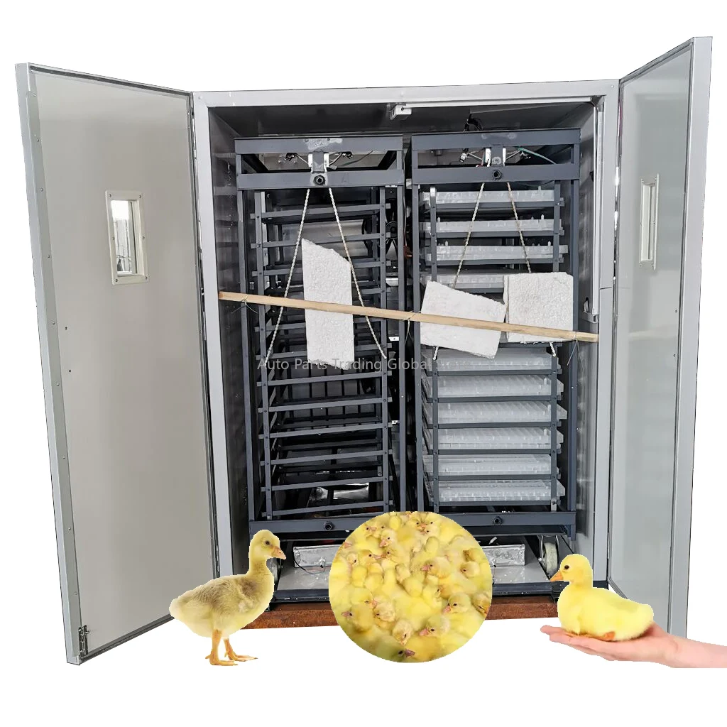 Fully Automatic 8000 Egg Incubator Setter Chicken Bird Incubator Machine HJ-I19