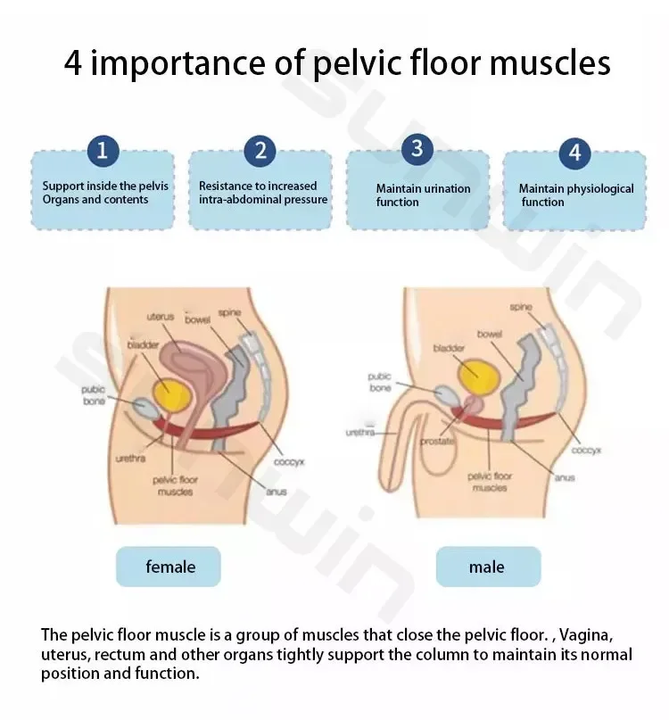 2023 emslim equipment biofeedback pelvic floor repair vagina tightening machine kegel pelvic floor muscle cushion