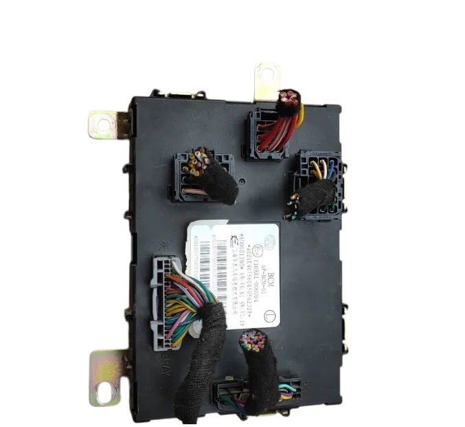 A00051195 Body Cont…