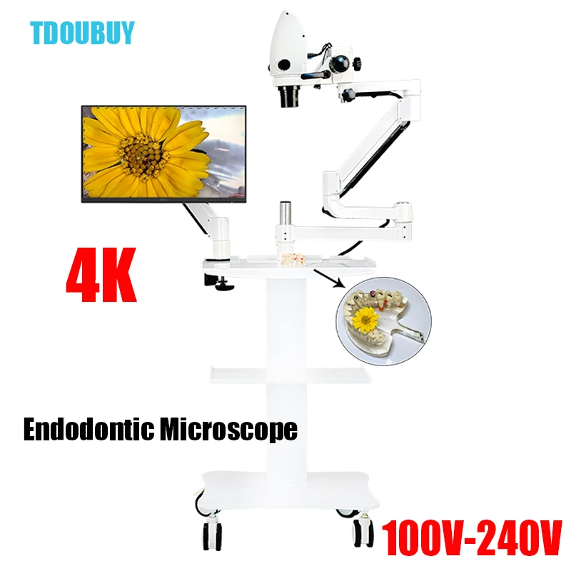 Dental Surgical Biological Scanning Electron lcd Neurosurgery Surgery Thermostat  5X-33X Digital Usb Microscope With Camera