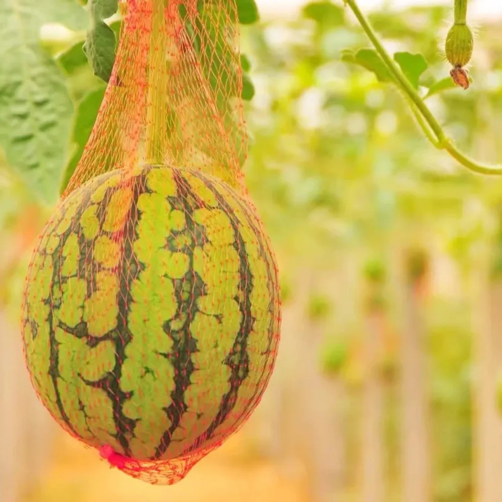 Reusable Watermelon Net Mesh with Straps Fruit Storage Net Bag Corded Vegetables Storage Vertical Planting Net