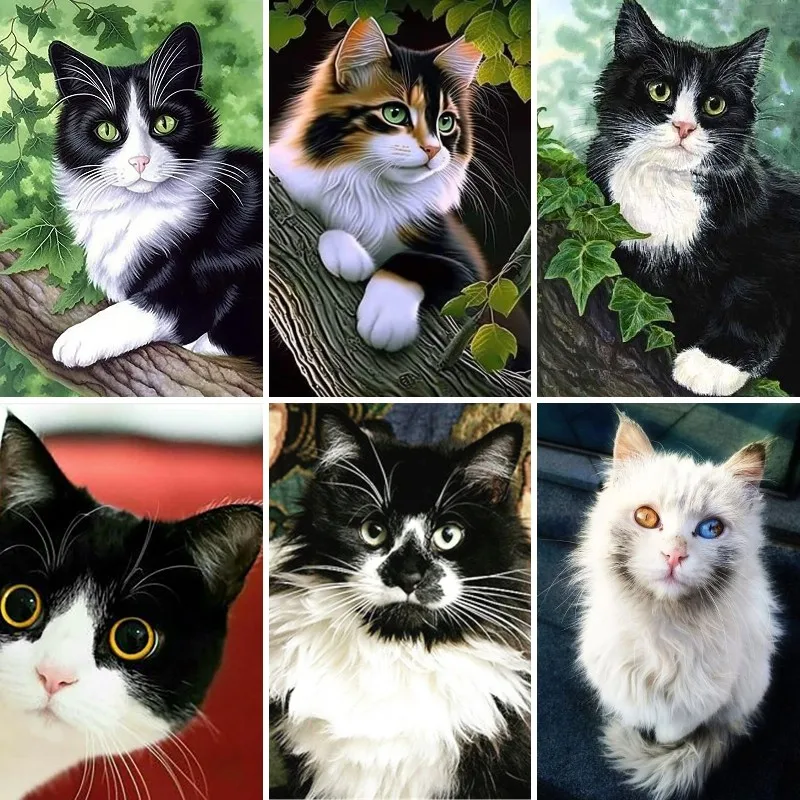 5D Diy Diamond Painting Black and White Cat Breed Cross Stitch Kit Bicolor Cats Diamond Mosaic Full Dril Embroidery Home Decor