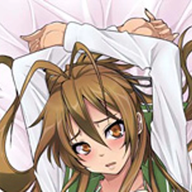 

New Pattern Anime Saeko Busujima Dakimakura Hugging Body Pillow Cover Case double-sided printing‌