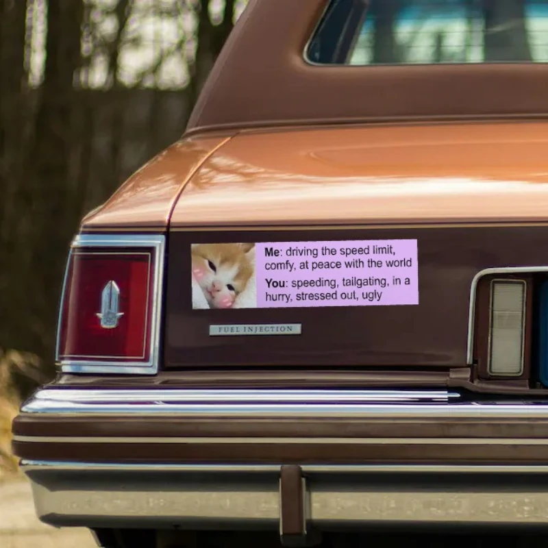 1Pc Funny Cat 