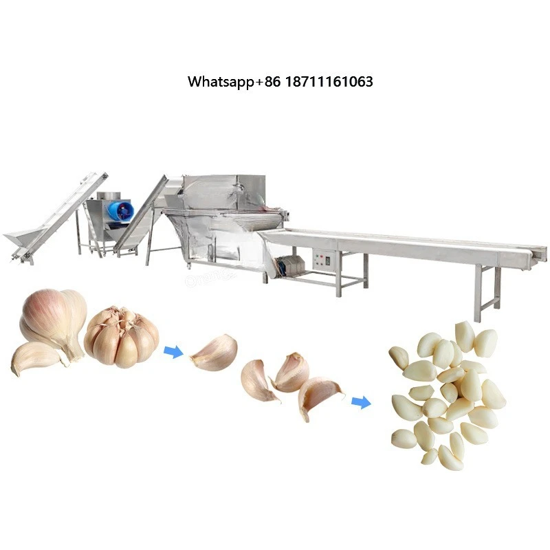 Professional Garlic Production Line Garlic Cleaning Breaking Peeling Sorting Processing Machine Garlic Separator