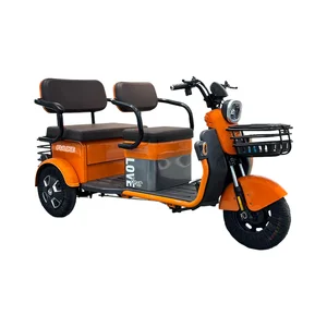 Fulilke und Tricyclo Electric Scooter 3 Räder Elektrisches Dreidreizmotorrad für Erwachsene Passagier 12 Hauptverkauf Erwachsener Elektromotorrad - №11