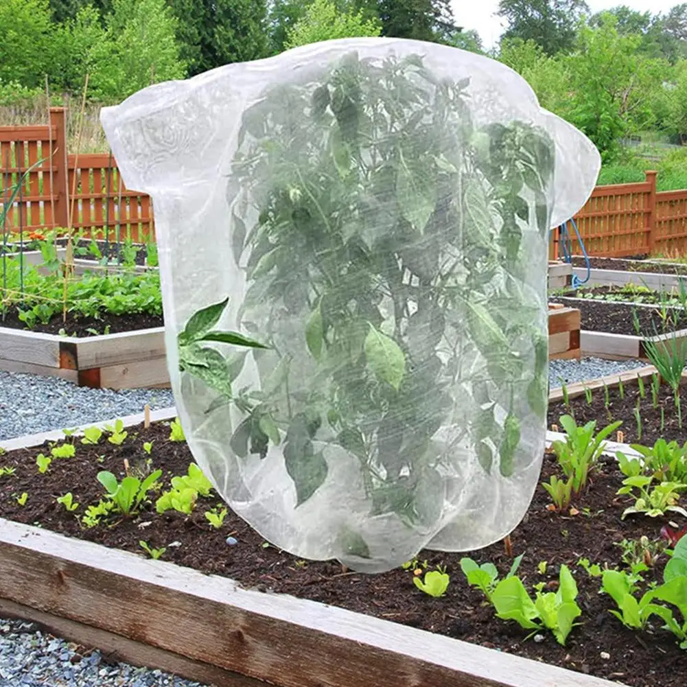 Anti-Bird & Insect Netting Bag for Plants, Transparent Garden Mesh Cover, Durable Protection for Fruit Trees & Vegetables