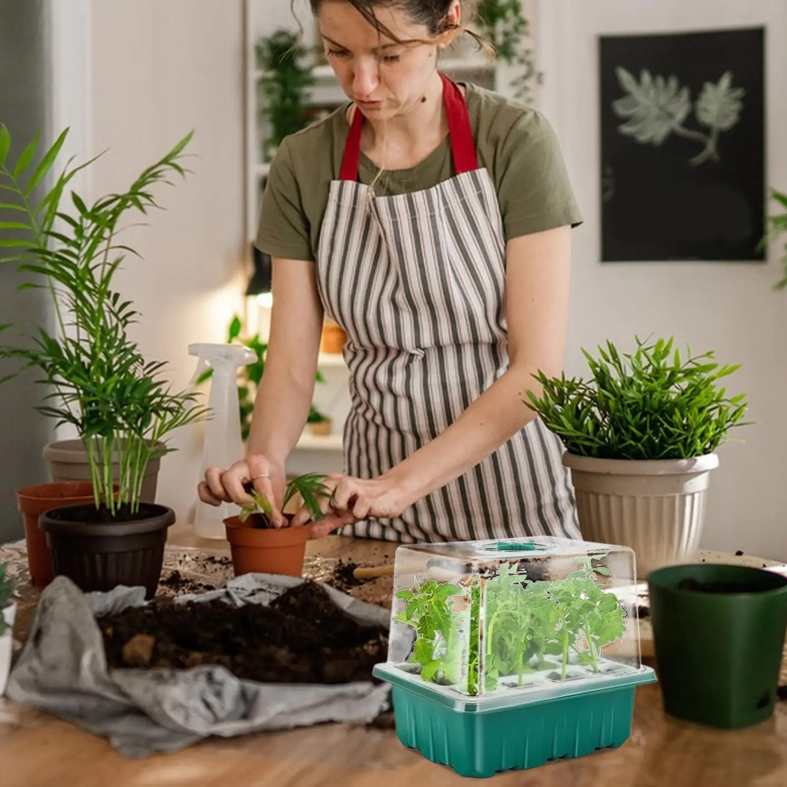 

Лоток для проращивания, лотки для растений для рассады с куполом для влажности, теплица для выращивания начальных садовых принадлежностей для помещения