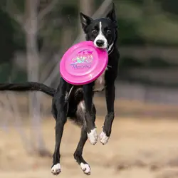 Moda 24cm dischi volanti per animali domestici resistente al morso cane luminoso tipo di lancio giocattolo morbido giocattolo galleggiante per cani alleviare la noia