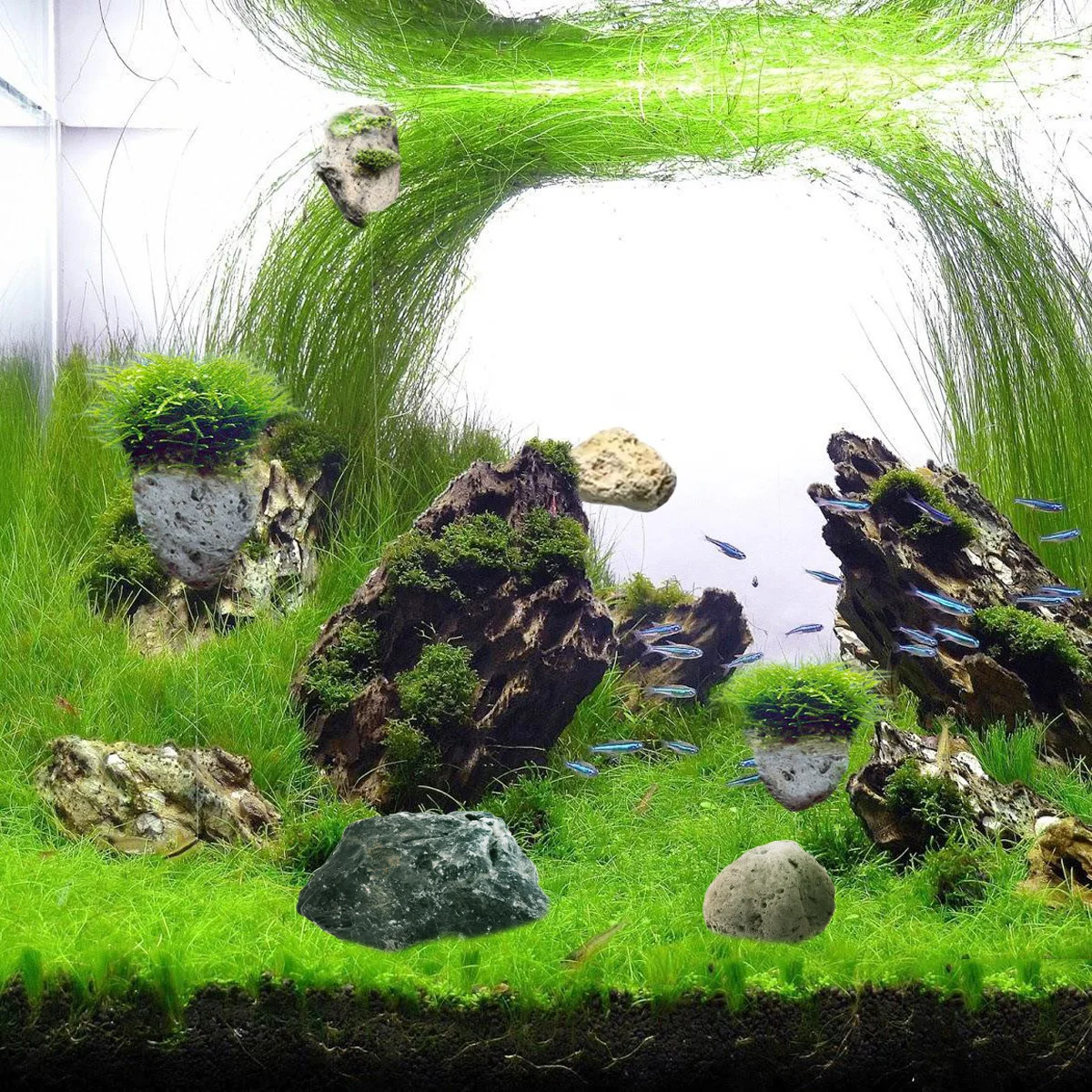 

Seiryu- Stone Durable Colorful Aquarium Landscaping Stone Natural Aquarium Decoration Fish Tank Hiding Place