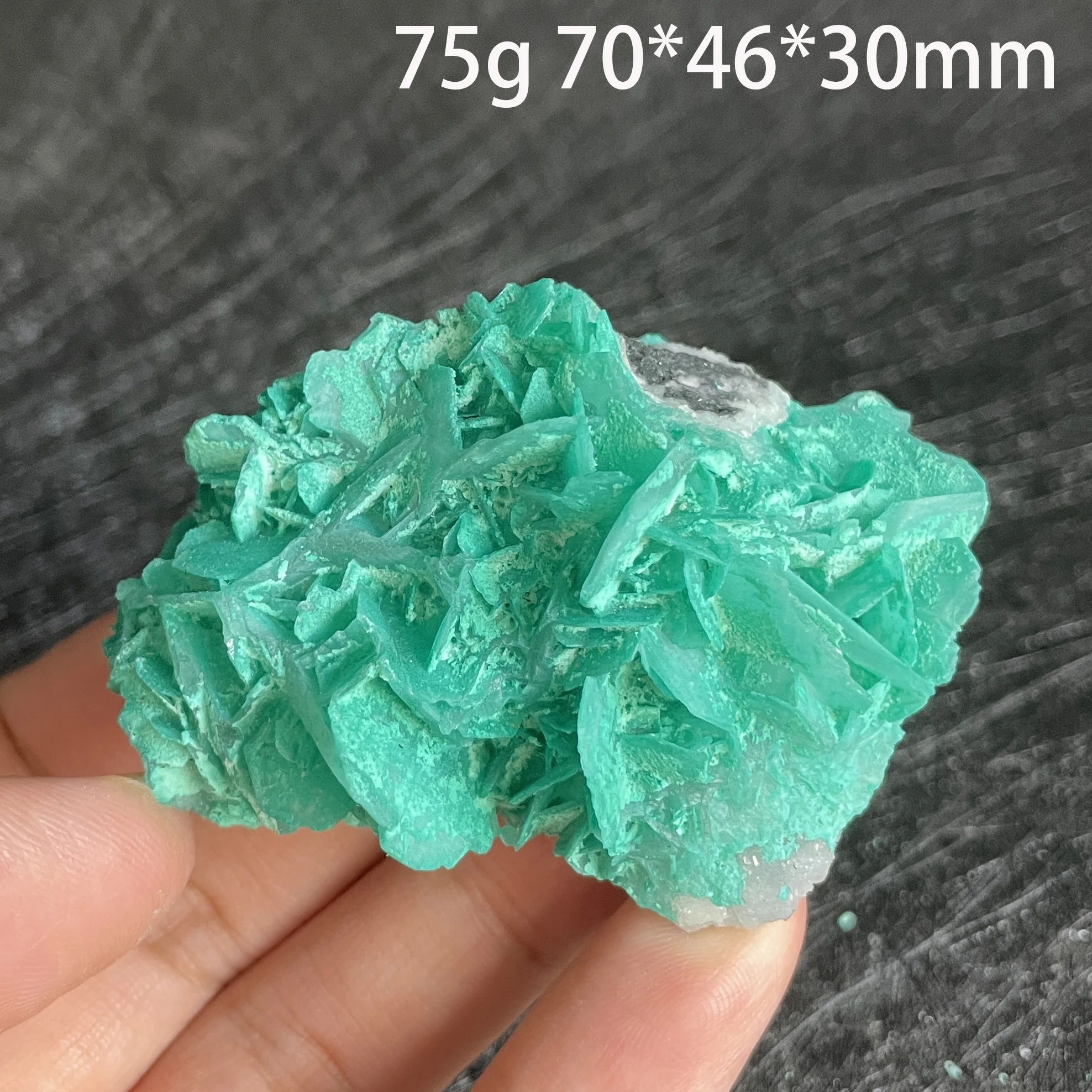 Natural Raw Stone Antlerite Mineral Specimen Quartz Crystal Healing Teaching Collection Home Decor Gift