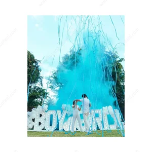 Confetti Cannon Electronic Paper Blaster, Shooter Prop Machine, Streamer, Holi -Effekt -Stufe, Geschlecht aufschlussreich, Hochzeitsveranstaltung, DJ 12 Hauptrang Kanone - №11