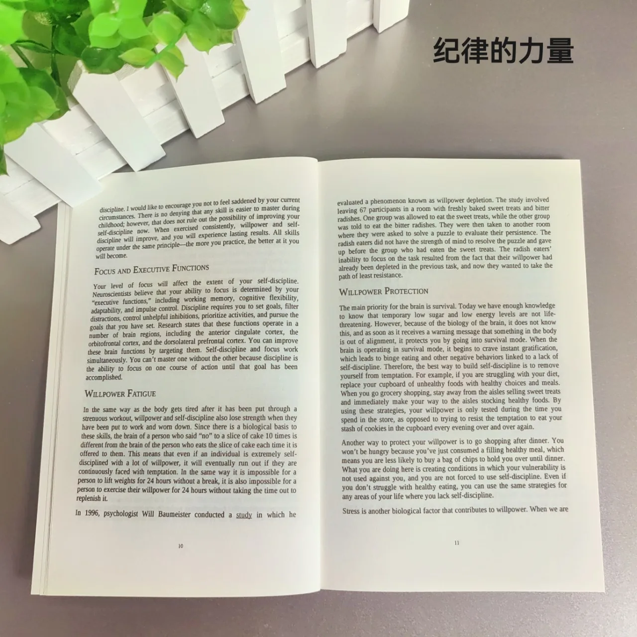 O Poder da Disciplina: Como Usar Auto Controle e M