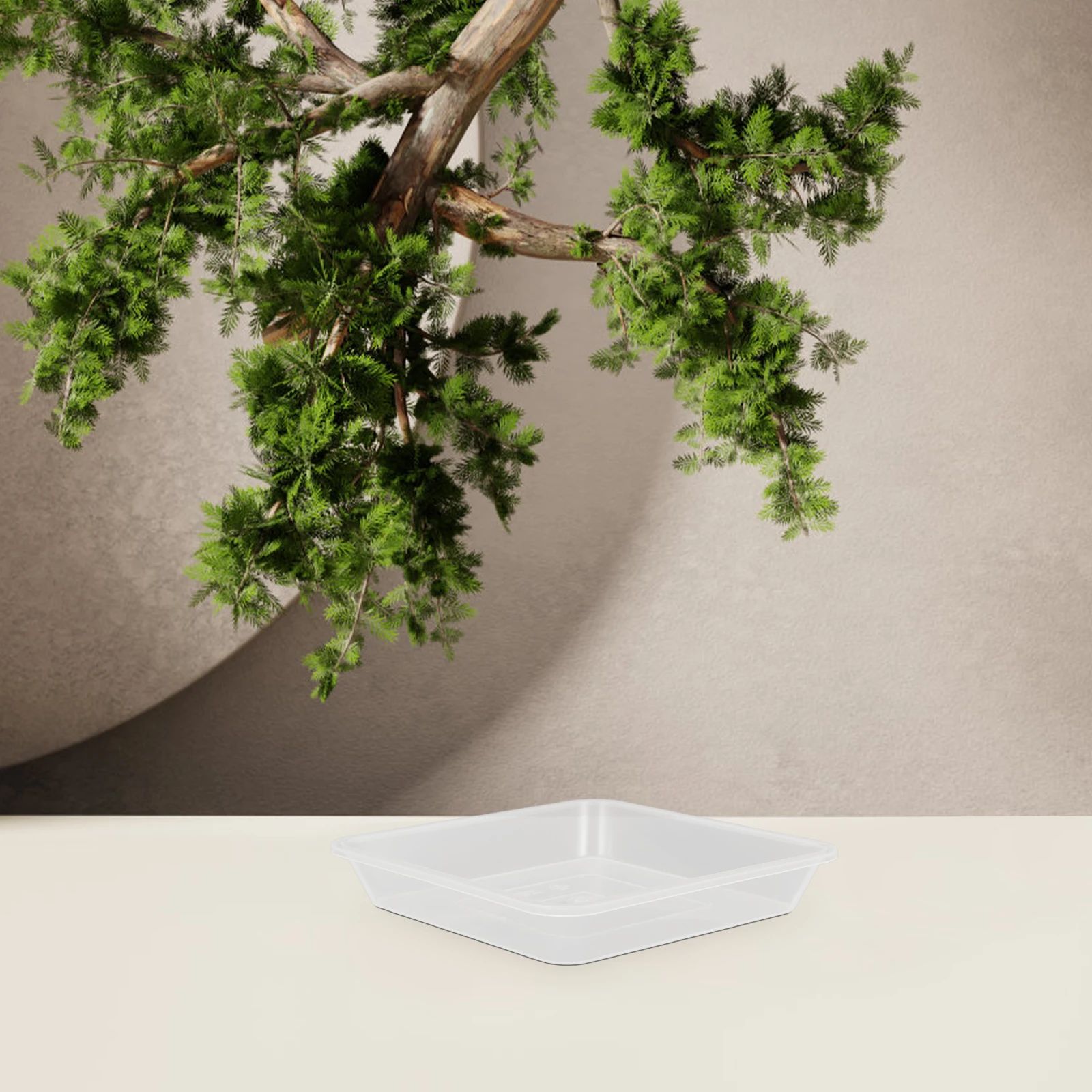 

10pcs Flower Pot Tray Plant Saucer Durable Plastic Drainage Tray For Indoor Outdoor Garden Bonsai Water Catcher Trays