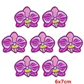 PE15841CT