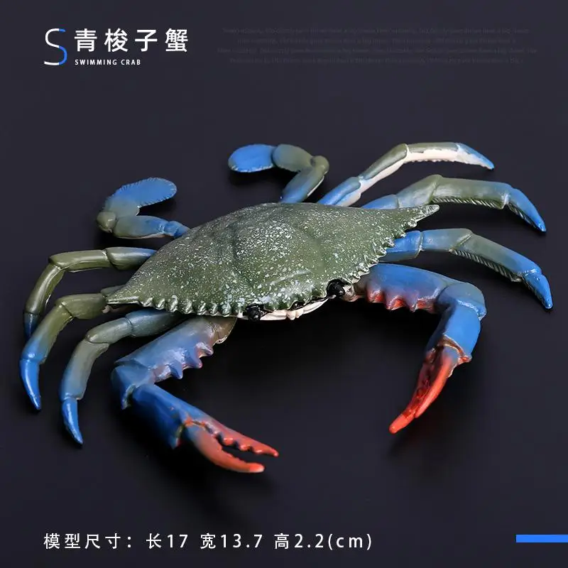 Simulatie Plastic Zeedier Speelgoedfiguren Nautilus, koning Spider Heremietkreeft Zeeleven Dieren Model Collectie Speelgoed