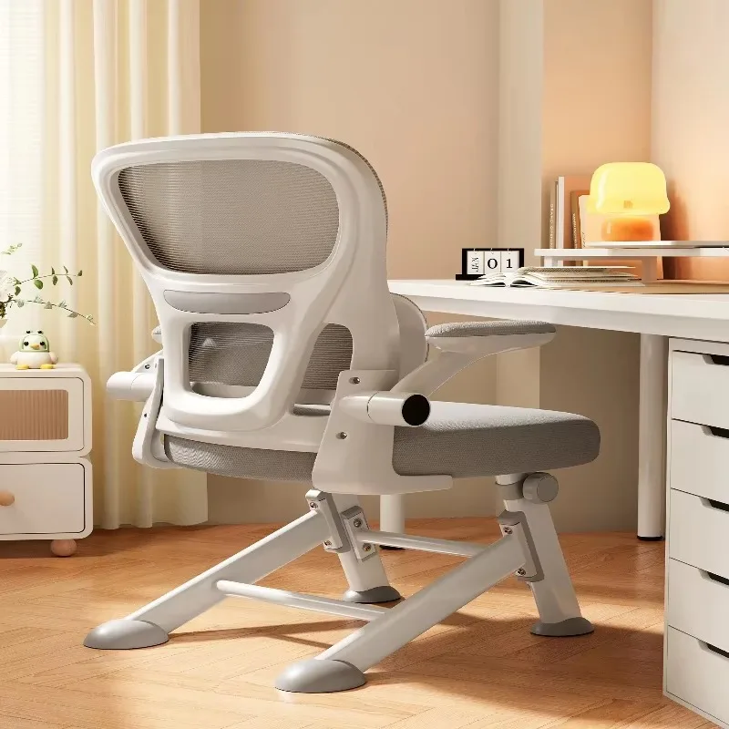 Ergonomic Study Chair for Teens, Adjustable Student Desk Chair with Lumbar Support, Home Office Learning Computer Seat