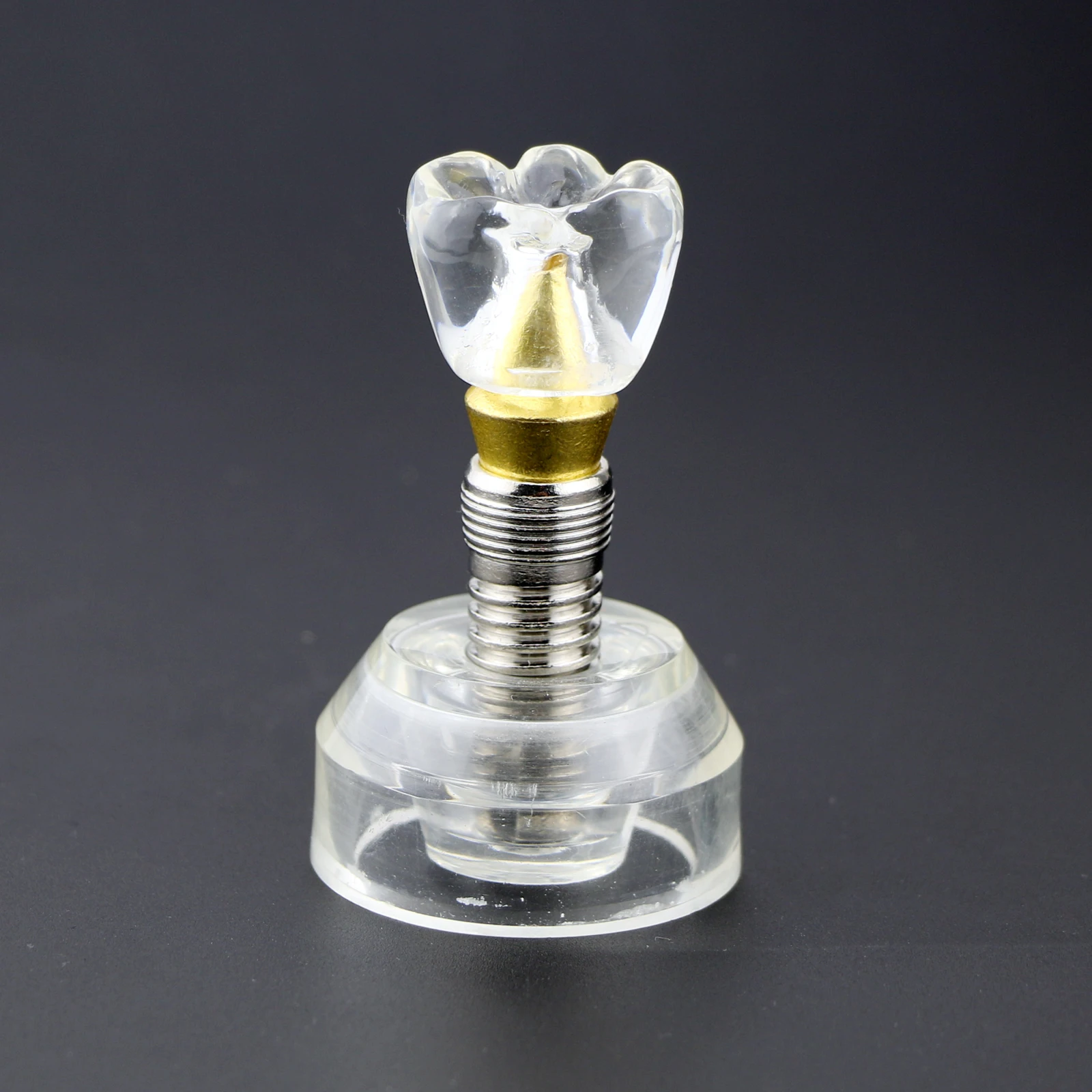 Dental Teeth Model Detachable Abutment Teeth Crown Model Teaching Study Student Crystal Tool  fast shipping