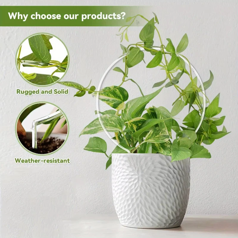 Round Acrylic Plant Stand Transparent for Indoor & Outdoor Small Climbing Plants Suitable Clear Modern Home Decor