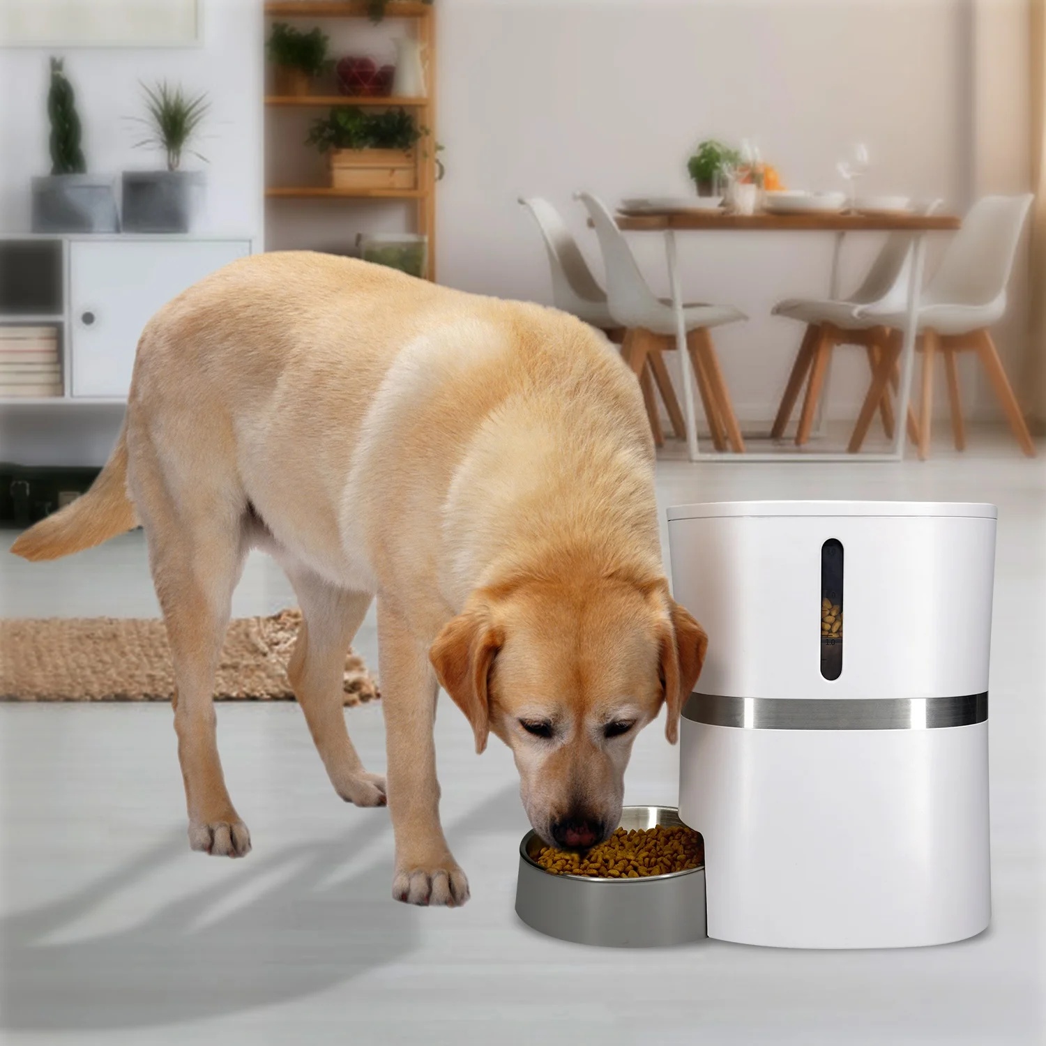 

Comedero Gato Automatico Dispensador De Comida Smart Pet Feeder Bowls & Feeders Microchip Cat Food Automatic Dog Food Dispenser