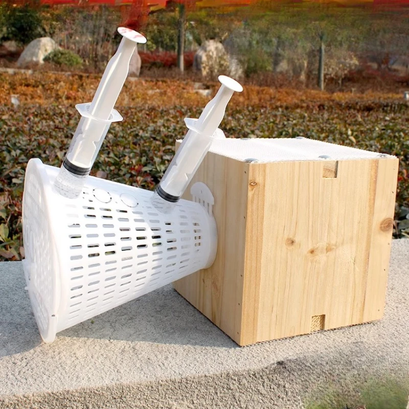 Ящик для гнездования шершень, зона для разведения оса, голова значка, пчела, спичка, золотое кольцо, клетка для кормления, королевская коробка для разведения шершня