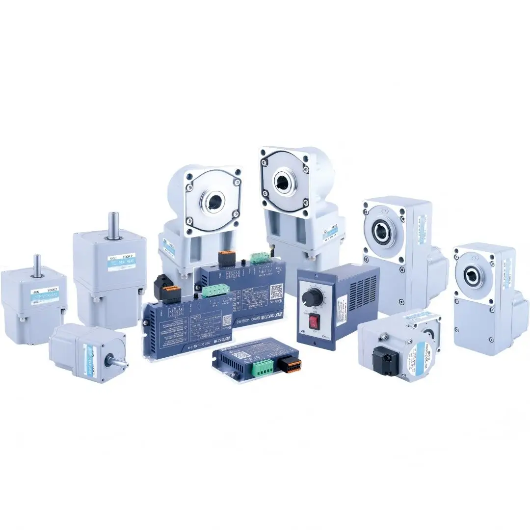 Maintenance Free L2 Series 48V 40W Hollow Shaft Brushless DC Gear Motor for Office Conveyor Sorting System