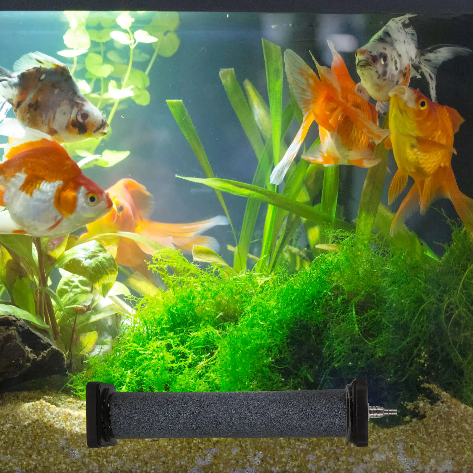 

Stone Diffuser for Aquarium Fish Tank Pond Oxygenation Bubbling System Aerator Support Accessory