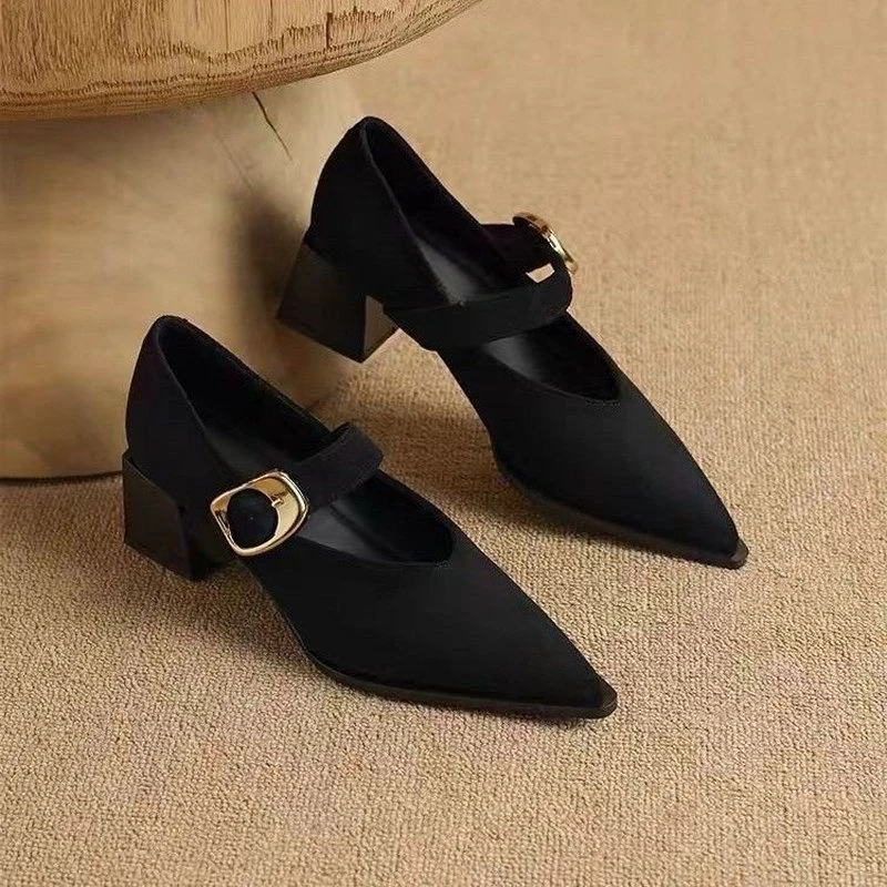 Women Vintage Mary Jane Block Heel Pumps, Pointed Toe Dress Shoes, Adjustable Buckle Strap Autumn Elegant Daily Office Footwear