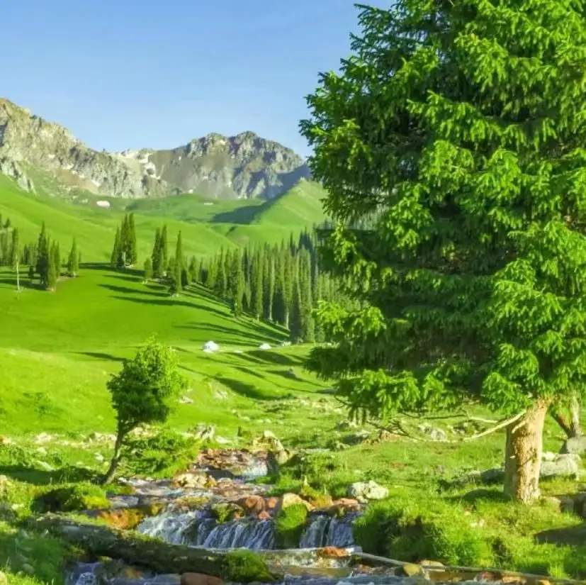 

15 Tesla 6500W Myoslim Muscle Stimulator RF Body Sculpting Myoslim NEW Portable Machine Slimming Weight Lose Electromagnetic