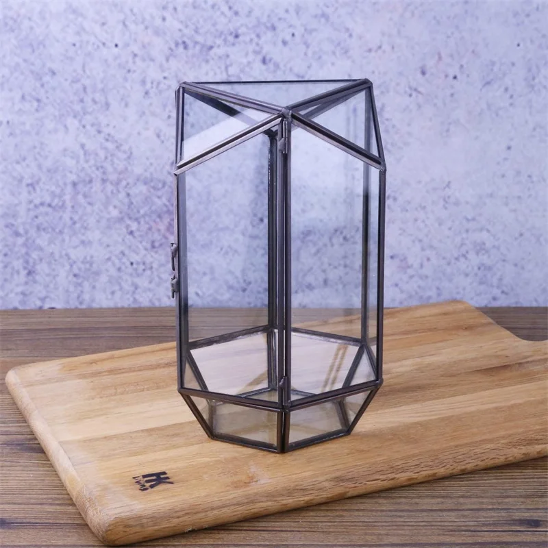 Micro Landscape Hexagonal Geometric Glass Terrarium, Succulent Moss Fern Plant Container Geometric Greenhouse Home Decor