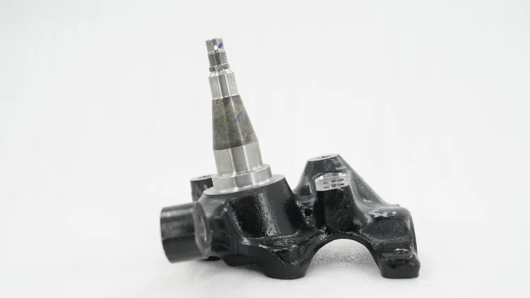 Fast Delivery OEM Mini Truck Parts 3001021R002 Auto Accessories Steering Knuckle