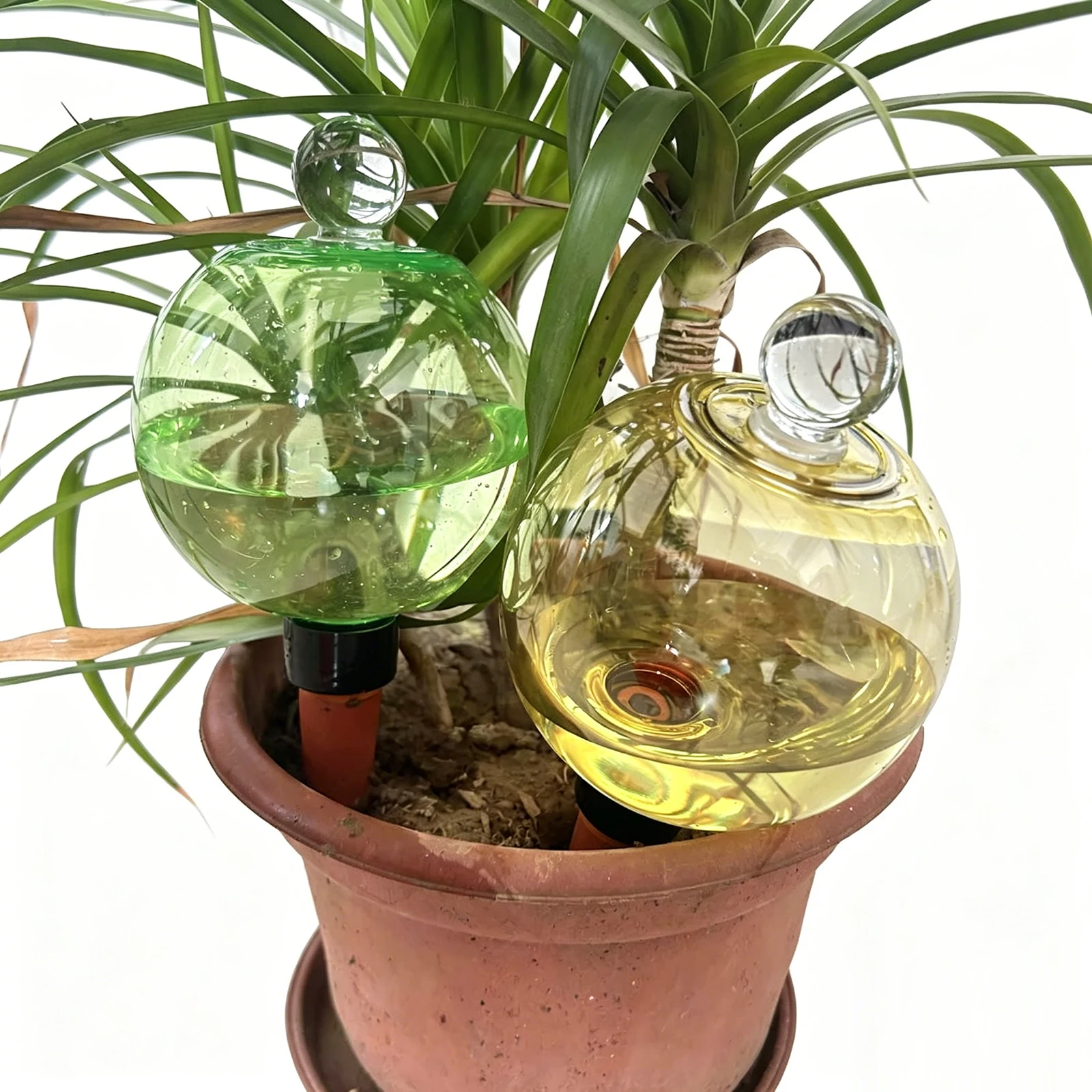 Self Watering Globes Top Fill Automatic Plant Watering Globes 500ML Water Spikes Stakes Devices System for Vacation Plant Savers