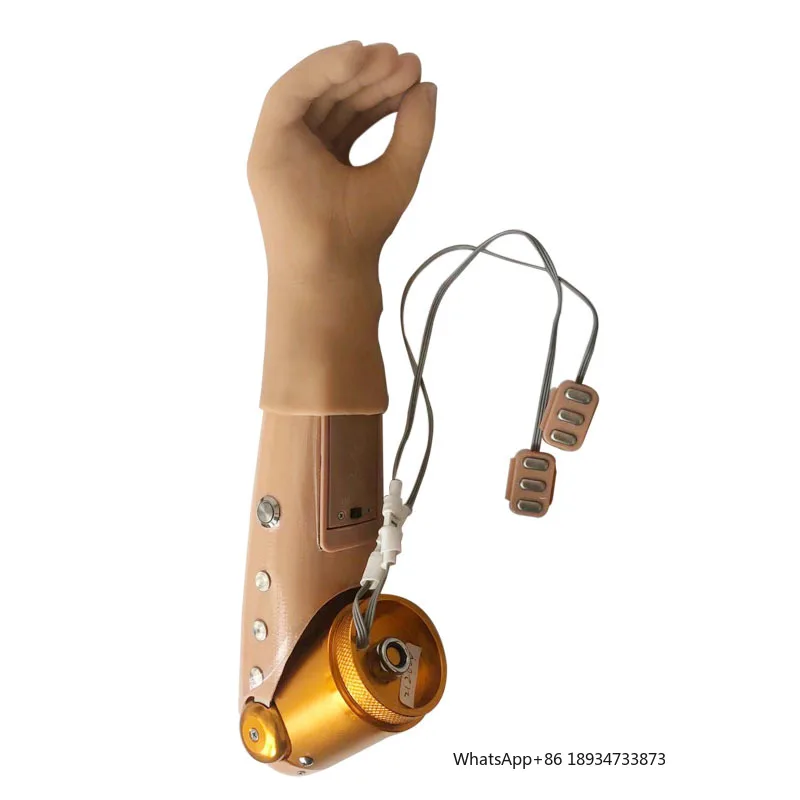 Artificial Limbs Prosthetic Arm Myoelectric Control with Two Degrees Of Freedom Prosthetic hand For children