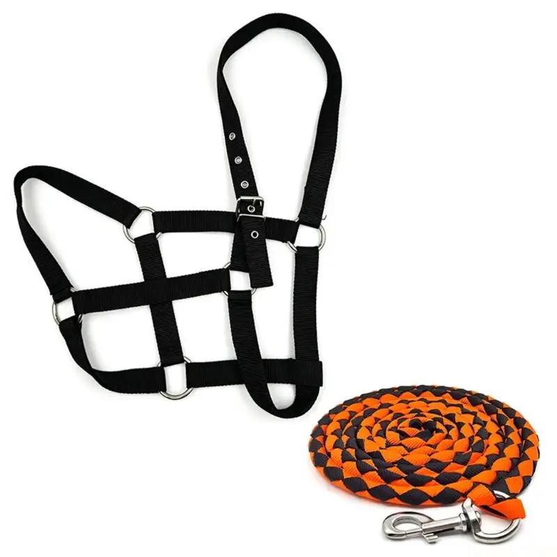 M5TC Equine Halter and Handling Rope Set with Adjustable Headpiece, Noseband Fastener, Nylon Webbing, and Metal Hardware