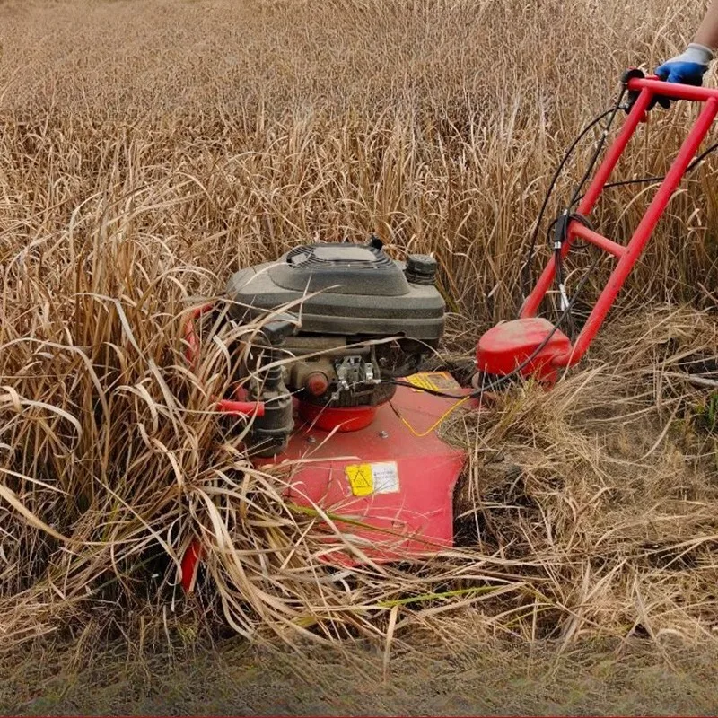 

Lawn mower, self-propelled grass shredder, field weeding tool, orchard weeder, lawn mower Oscillating Multi-GardenTools