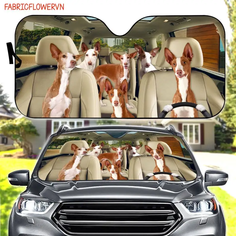 

Podenco Ibicenco Car Sunshade, Dog Car Decoration, Dog Windshield, Dog Lovers Gift, Dog Car Sunshade, Gift For Mom, Gift For Dad