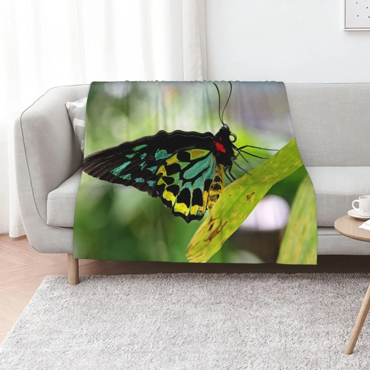

Cairns Birdwing Butterfly Throw Blanket Cute Plaid For Sofa Thin funny gift Plaid Blankets