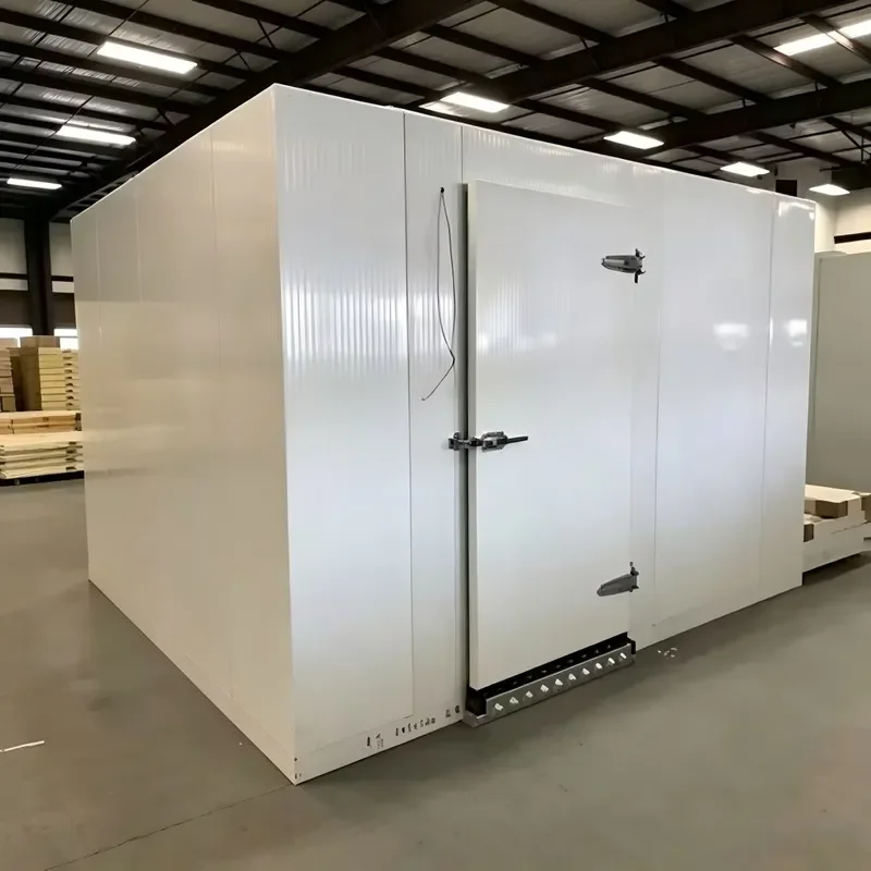 Auto Temp Controlled Walk in Cold Room Freezer Custom Doors for Small Seafood Shop Commercial Cold Storage